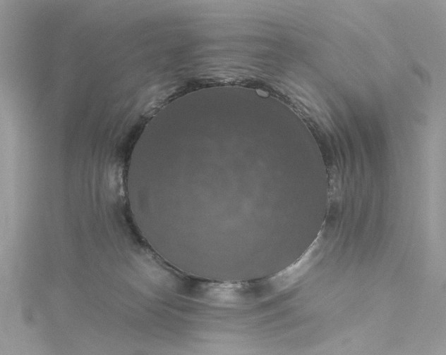 X0000115390182200911171504