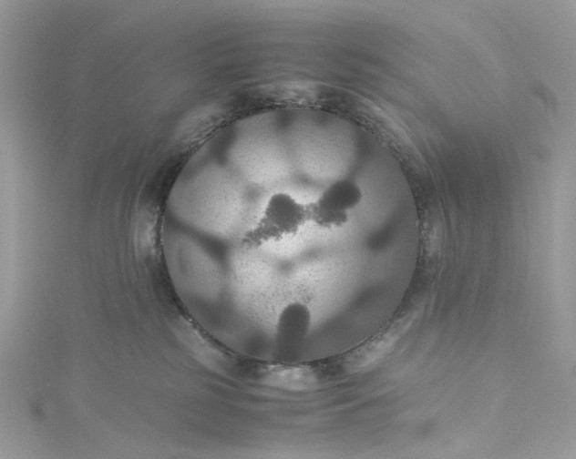 X0000115390185200911171504