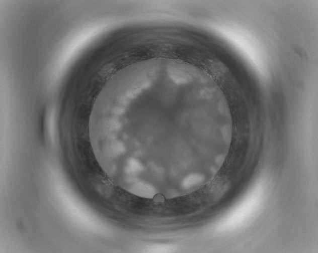 X0000115390189200911171504