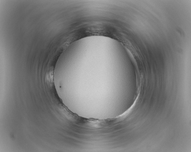 X0000115390190200911171504