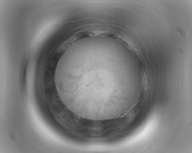 X0000115390191200911171504