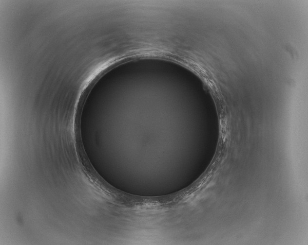 X0000115390196200911171503