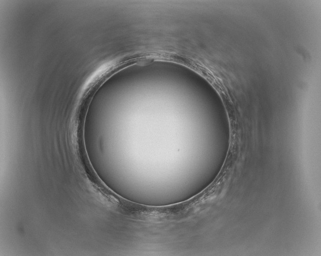 X0000115390197200911171503