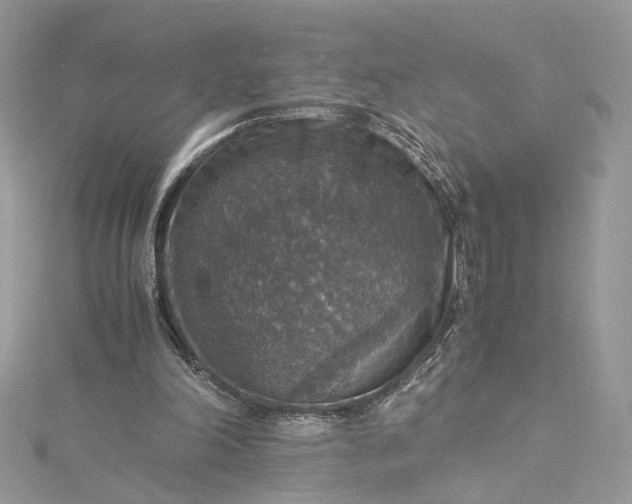 X0000115390198200911171503