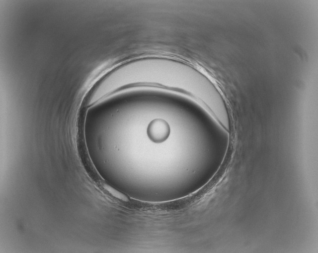 X0000115390199200911171503