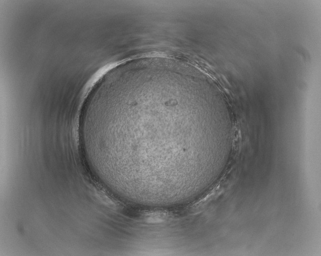 X0000115390200200911171503