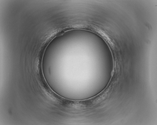 X0000115390201200911171503