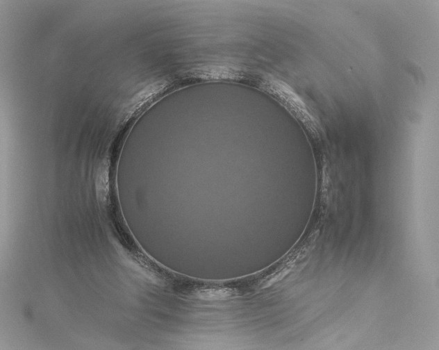 X0000115390202200911171503