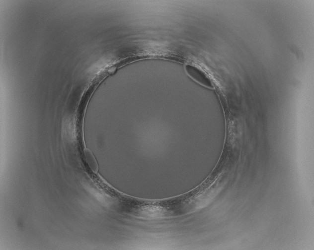 X0000115390203200911171503