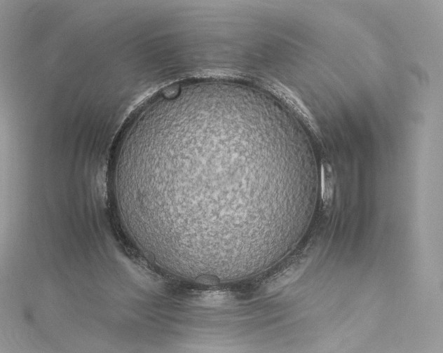 X0000115390204200911171503