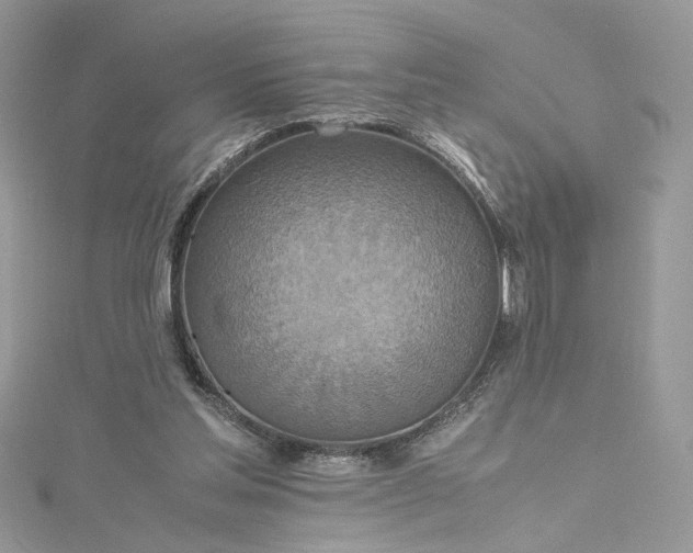 X0000115390205200911171503