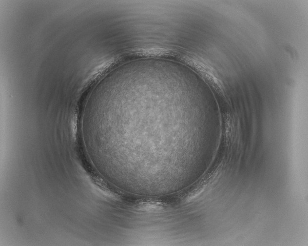 X0000115390206200911171503