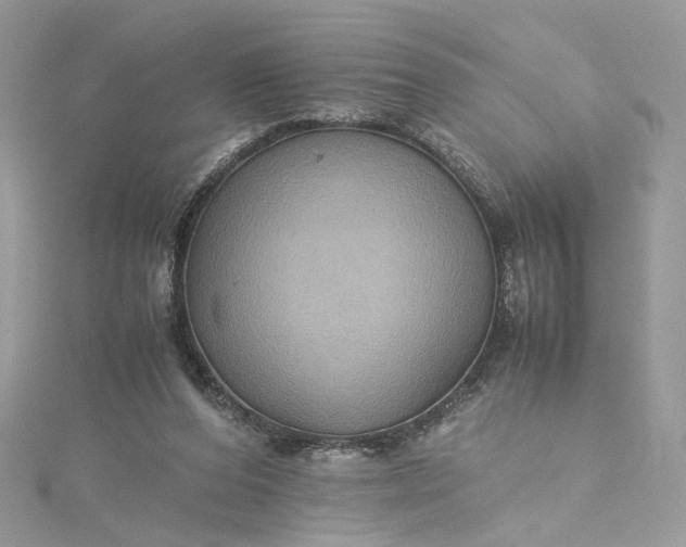 X0000115390208200911171503