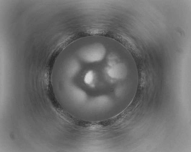 X0000115390210200911171503