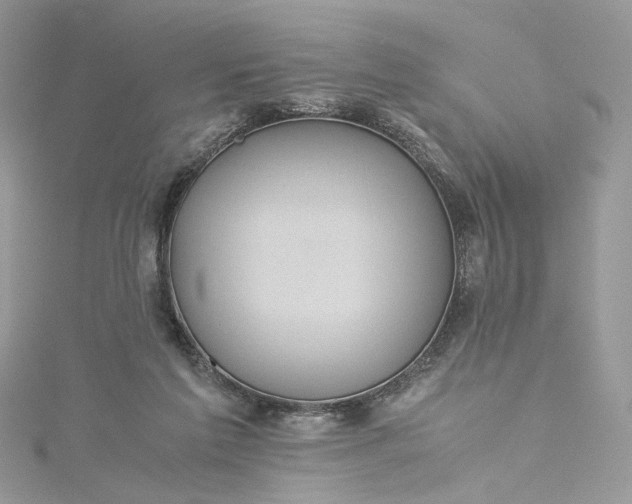 X0000115390213200911171503