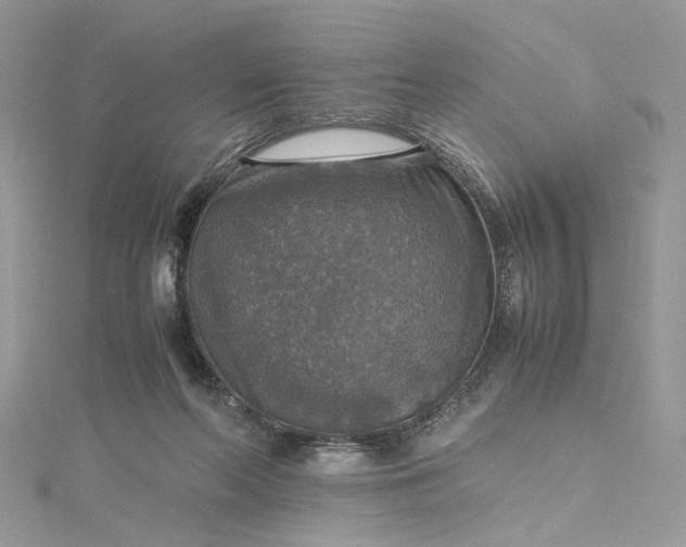 X0000115390214200911171503