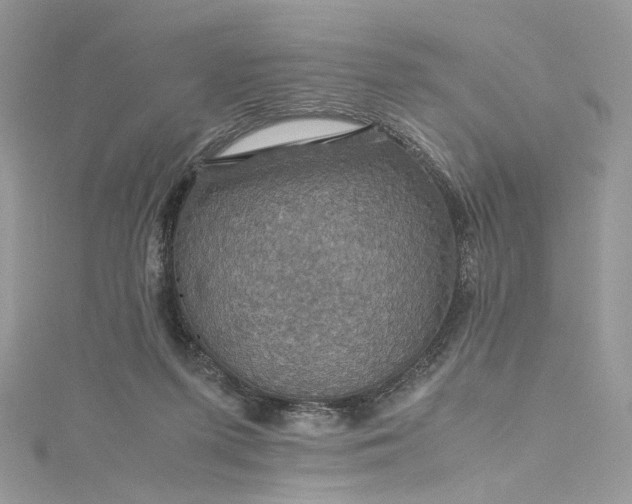 X0000115390215200911171503