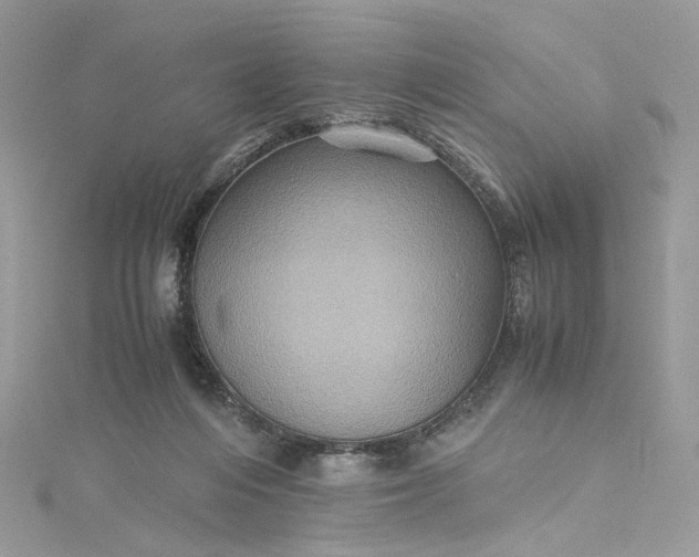 X0000115390216200911171503