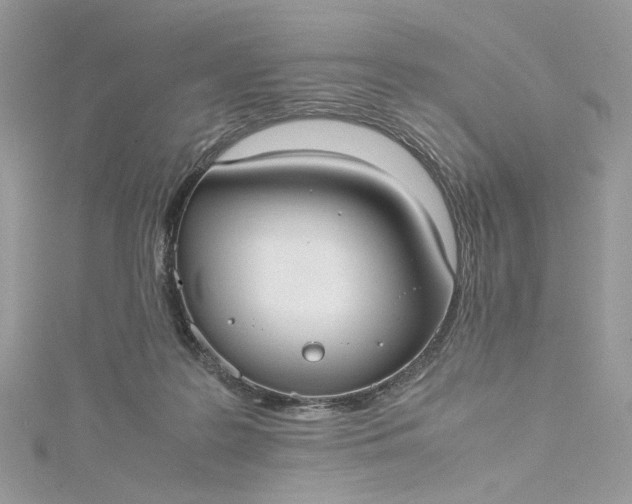 X0000115390219200911171503