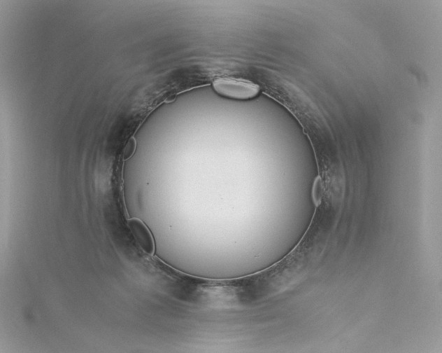 X0000115390221200911171503