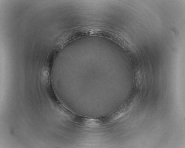 X0000115390222200911171503