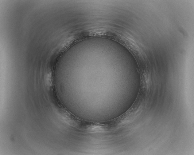 X0000115390224200911171503