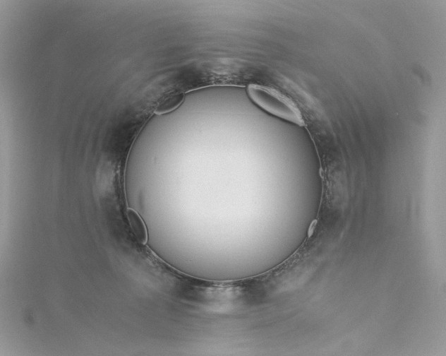 X0000115390225200911171503