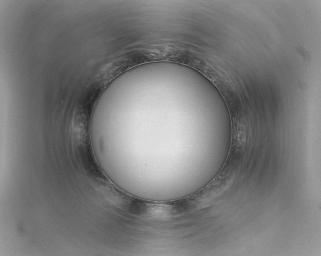 X0000115390226200911171503