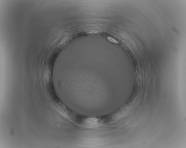 X0000115390227200911171503