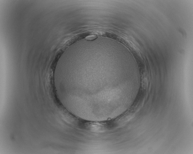 X0000115390229200911171503