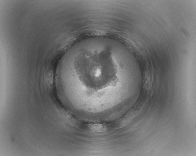 X0000115390230200911171503