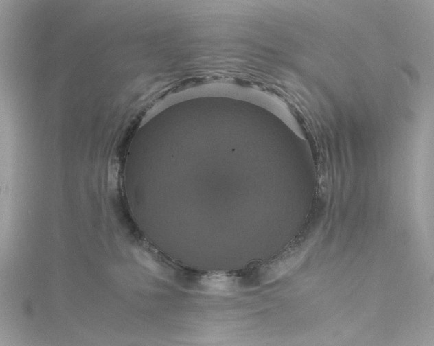 X0000115390231200911171503