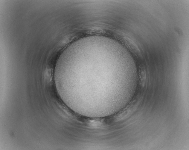 X0000115390232200911171503