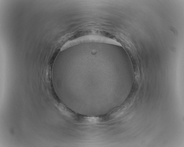 X0000115390233200911171503