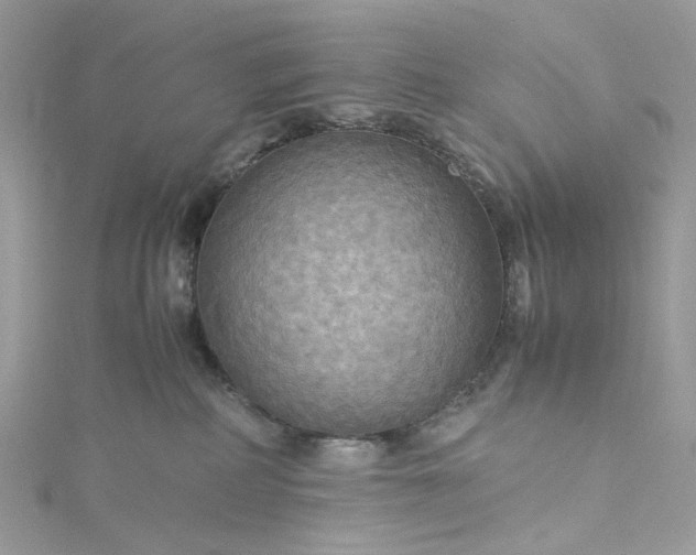 X0000115390234200911171503