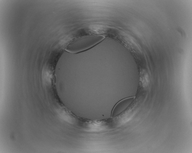 X0000115390235200911171503