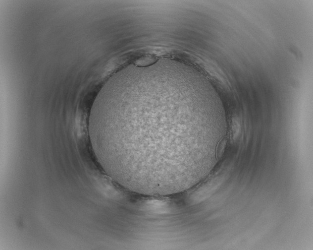 X0000115390236200911171503