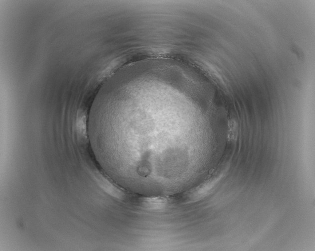 X0000115390238200911171503