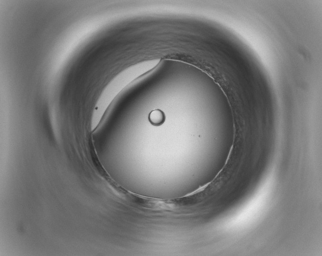 X0000115390239200911171503