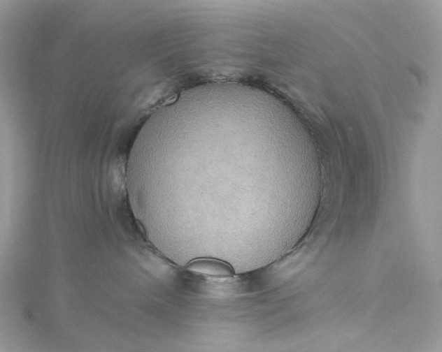 X0000115390240200911171503