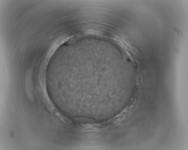 X0000115390241200911171502