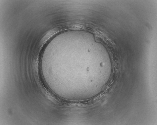 X0000115390242200911171502