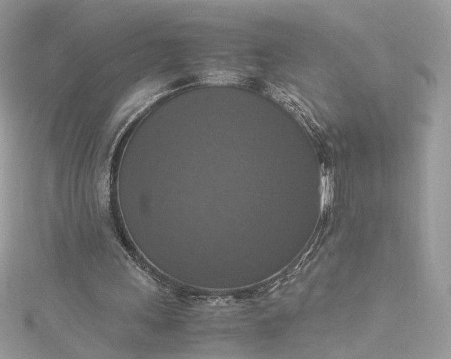 X0000115390243200911171502