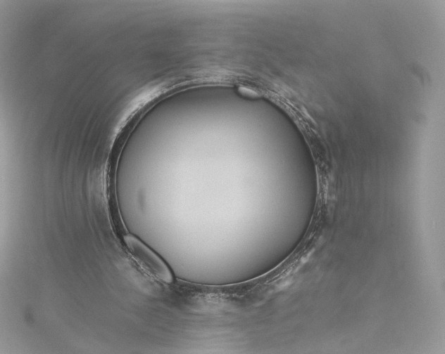 X0000115390244200911171502