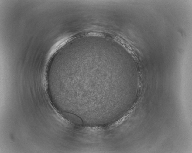 X0000115390245200911171502