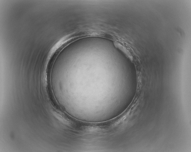 X0000115390246200911171502