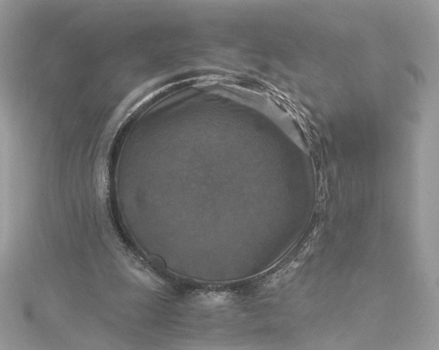 X0000115390247200911171502