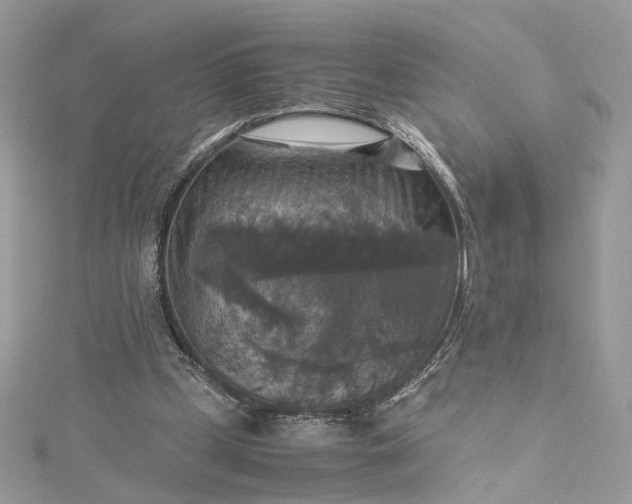 X0000115390249200911171502