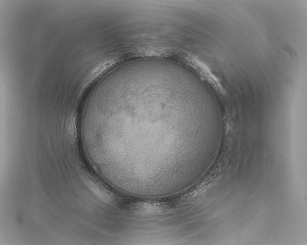 X0000115390250200911171502