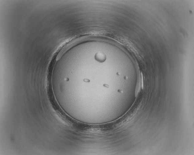 X0000115390252200911171502